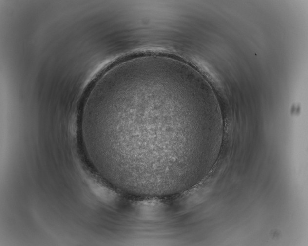 X0000091510112200708171204
