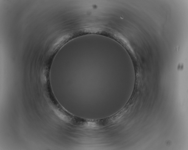 X0000091510114200708171204