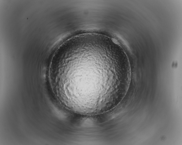 X0000091510115200708171204