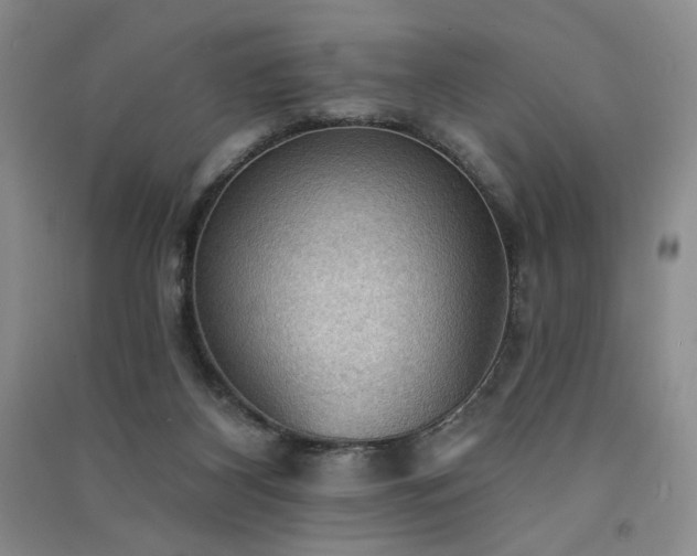 X0000091510116200708171204