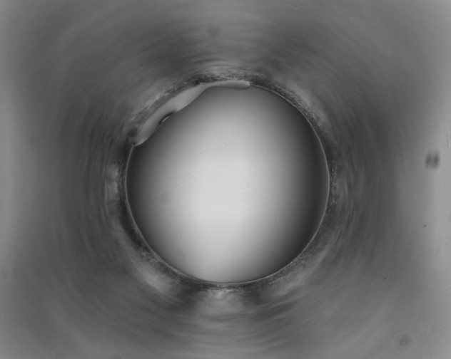 X0000091510117200708171204