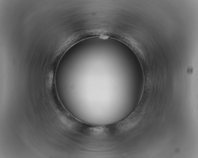 X0000091510118200708171204