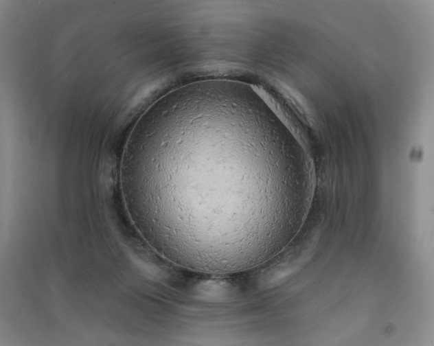 X0000091510119200708171204