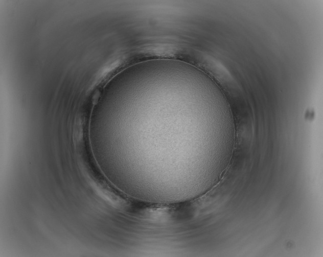 X0000091510120200708171204