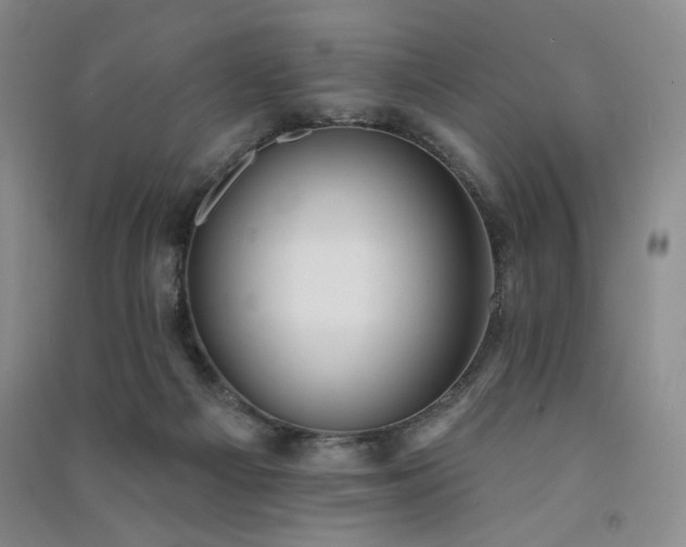 X0000091510121200708171204