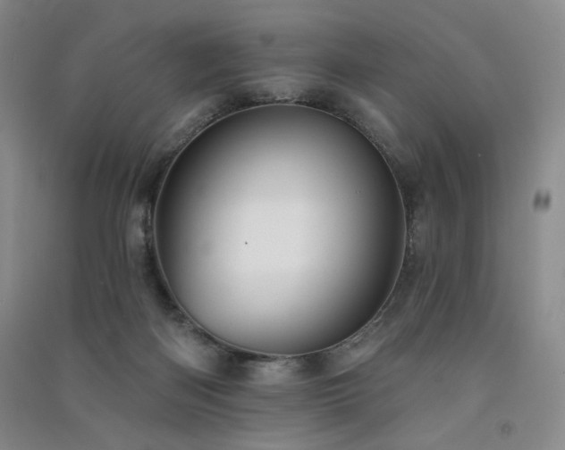X0000091510122200708171204