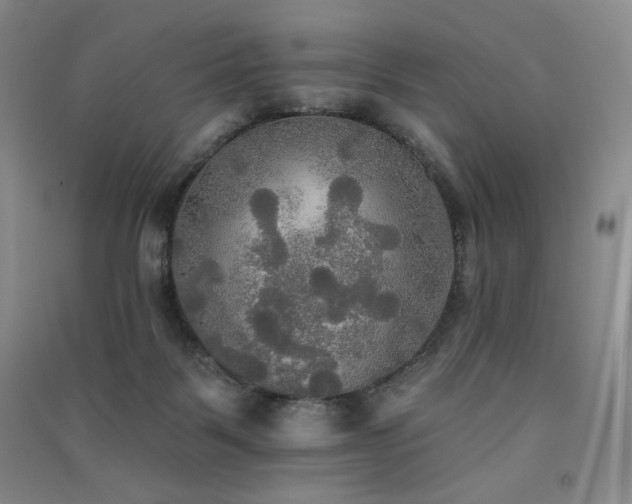 X0000091510123200708171204