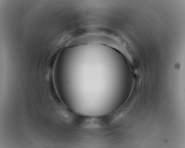 X0000091510125200708171204