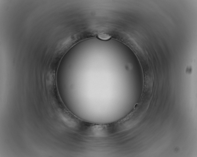 X0000091510126200708171204