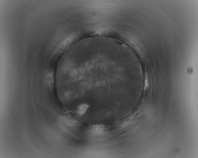 X0000091510127200708171204