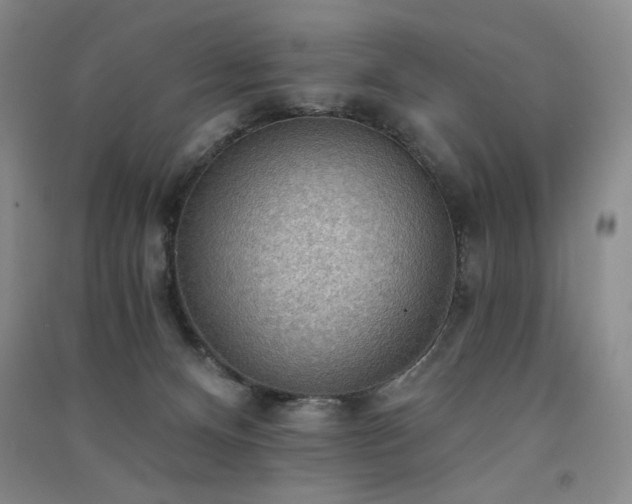 X0000091510128200708171204