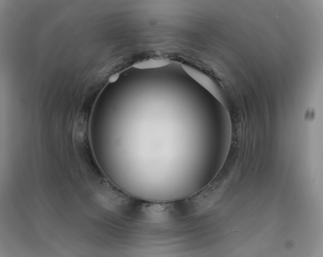 X0000091510129200708171204