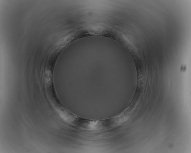 X0000091510130200708171203