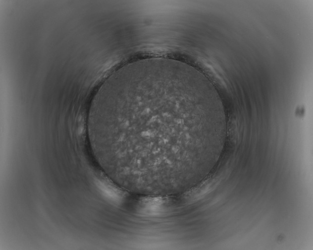 X0000091510131200708171203