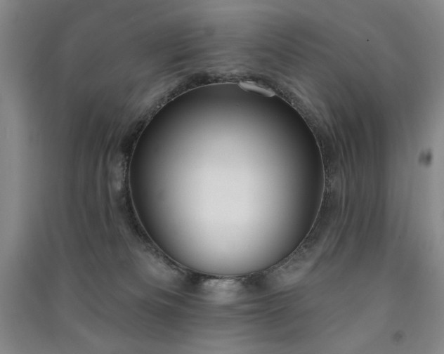 X0000091510133200708171203