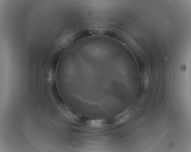 X0000091510134200708171203