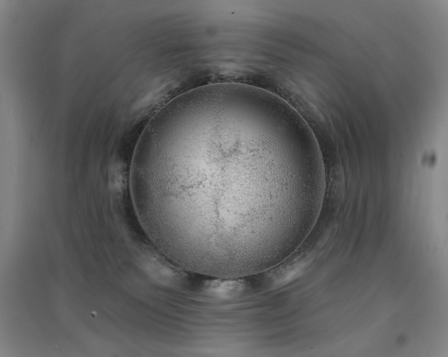 X0000091510135200708171203