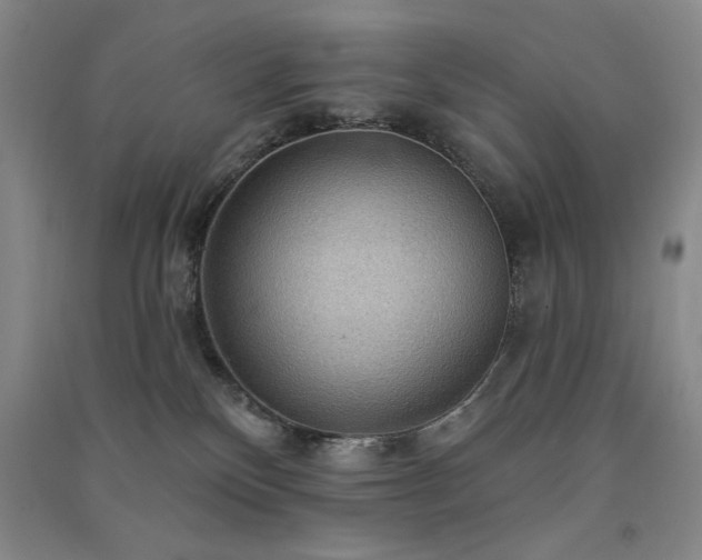 X0000091510136200708171203