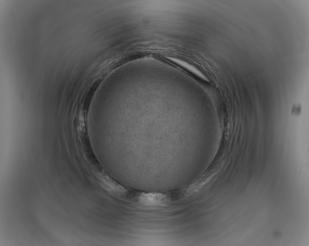 X0000091510137200708171203