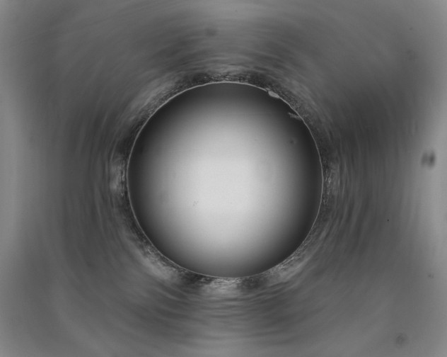 X0000091510138200708171203