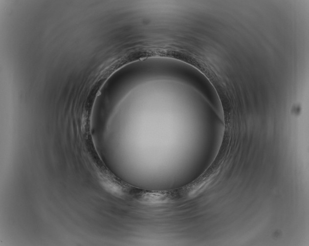 X0000091510139200708171203