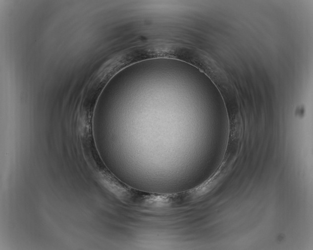 X0000091510140200708171203