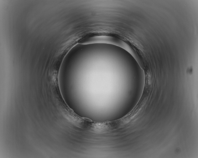 X0000091510141200708171203