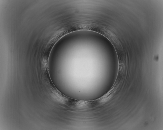 X0000091510142200708171203