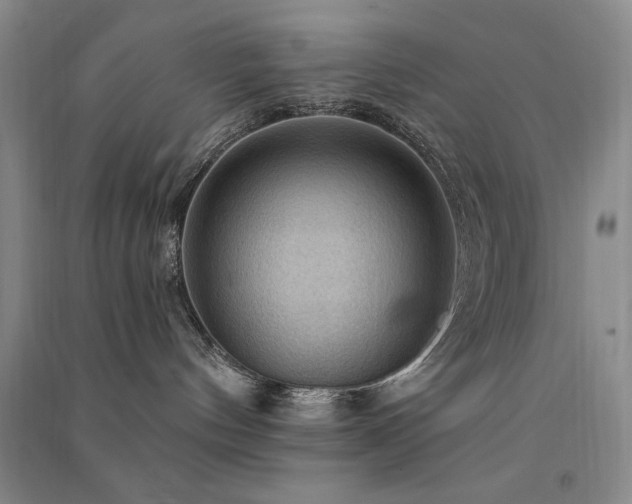 X0000091510144200708171203