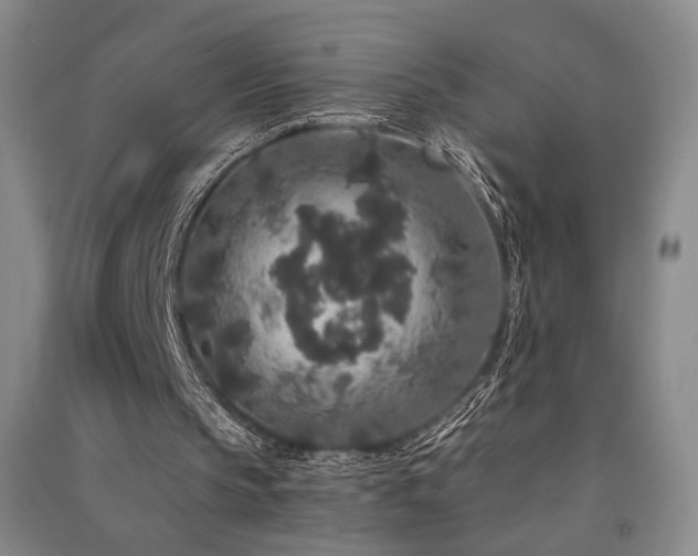 X0000091510145200708171203