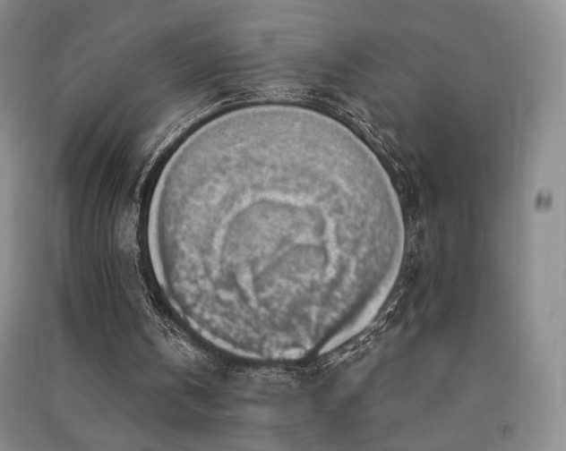 X0000091510146200708171203