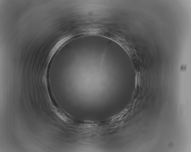 X0000091510147200708171203