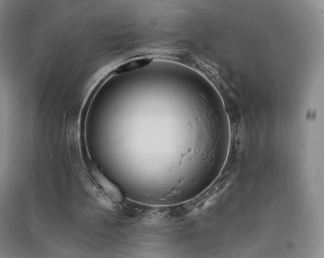 X0000091510148200708171203