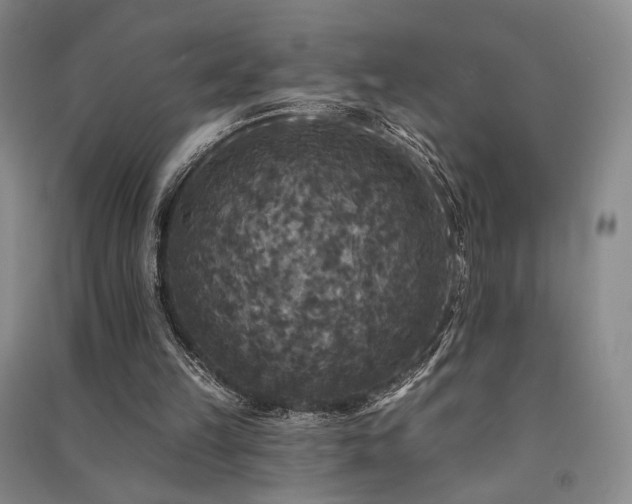 X0000091510149200708171203