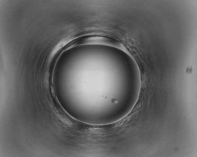 X0000091510150200708171203