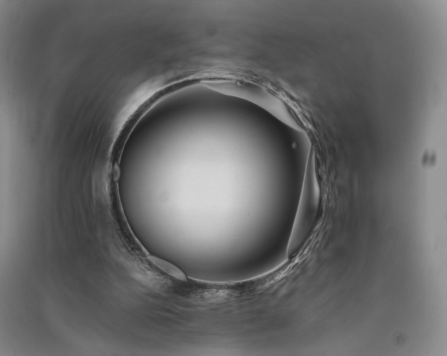 X0000091510152200708171203