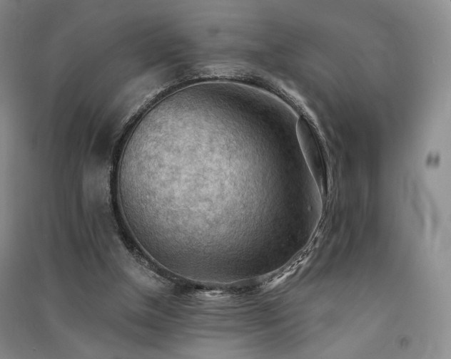 X0000091510154200708171203