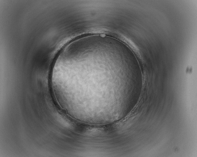 X0000091510155200708171203