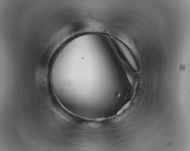 X0000091510156200708171203