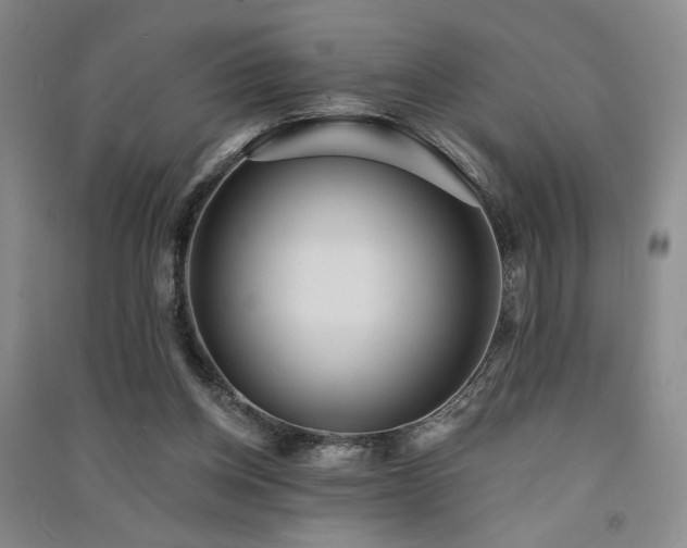 X0000091510158200708171203