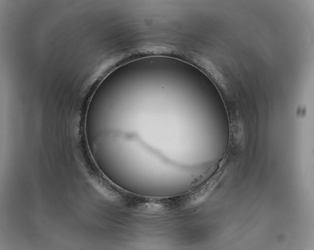 X0000091510159200708171203