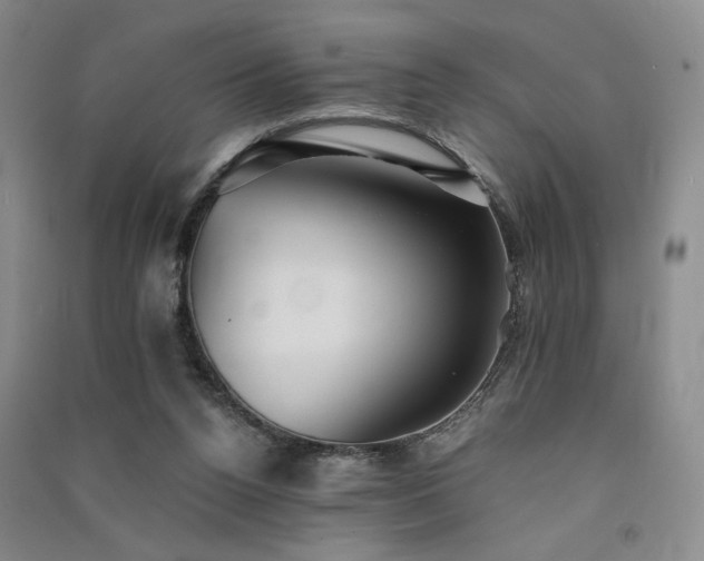 X0000091510160200708171203