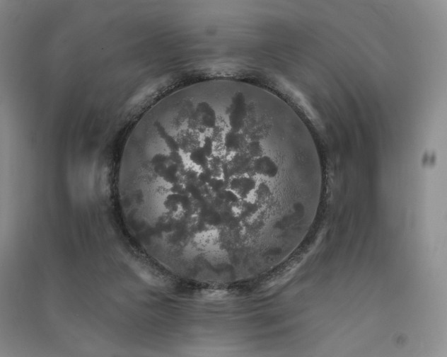 X0000091510161200708171203