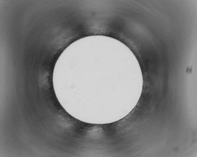 X0000091510162200708171203