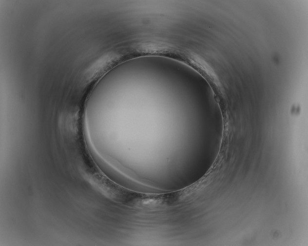 X0000091510163200708171203