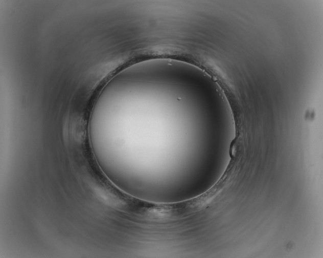X0000091510164200708171203