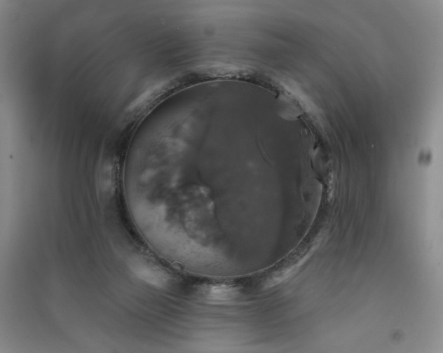 X0000091510165200708171203