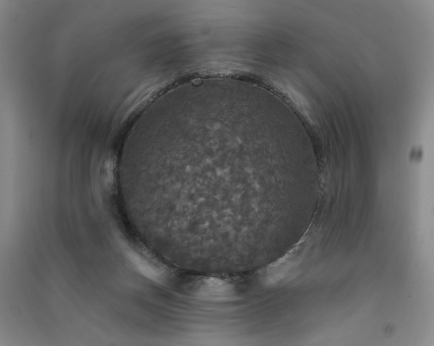 X0000091510166200708171203