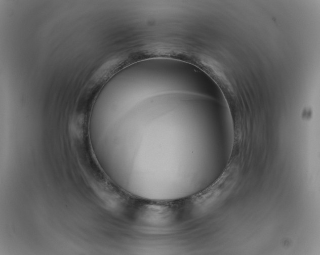 X0000091510167200708171203
