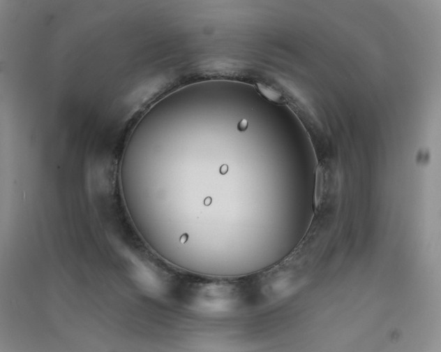 X0000091510168200708171203